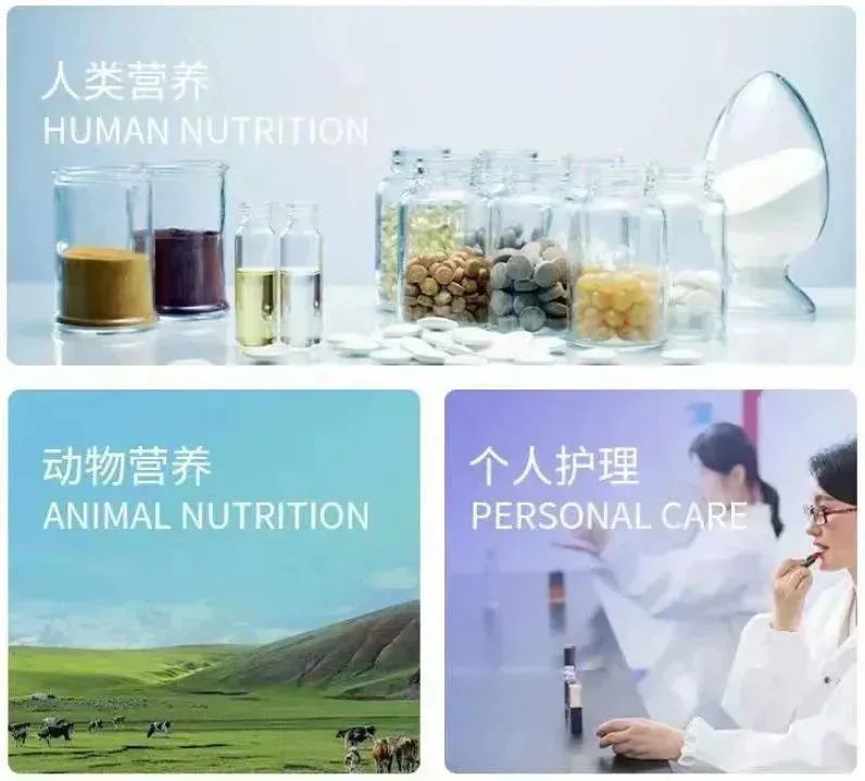 嘉必優：從食品生物科創板“第一股”到合成生物學研發型上市公司